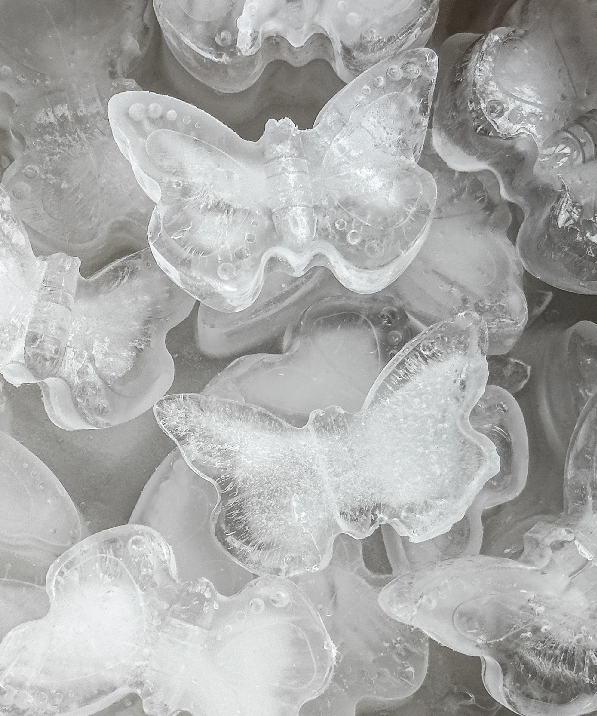 Eiswürfel Schmetterling | Clea - Image 4