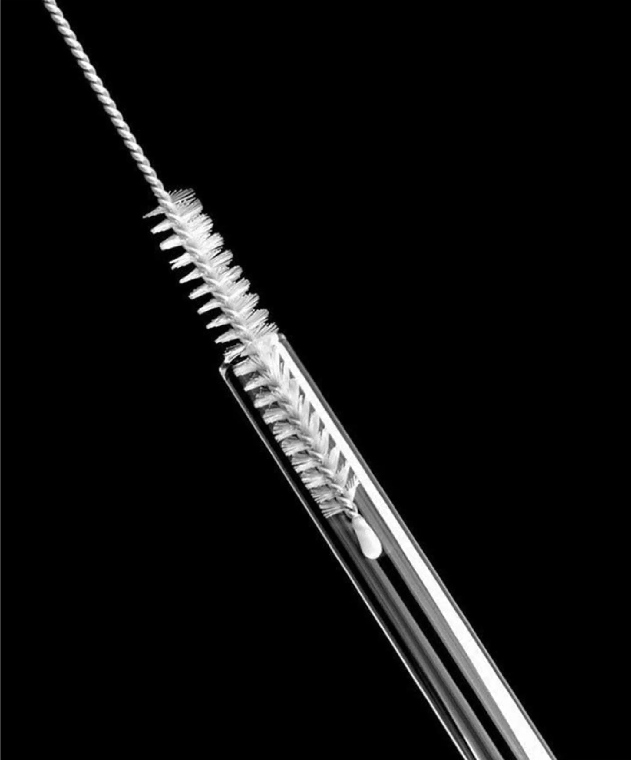 Lange Glasstrohhalme 8er Set | Aris - Image 5